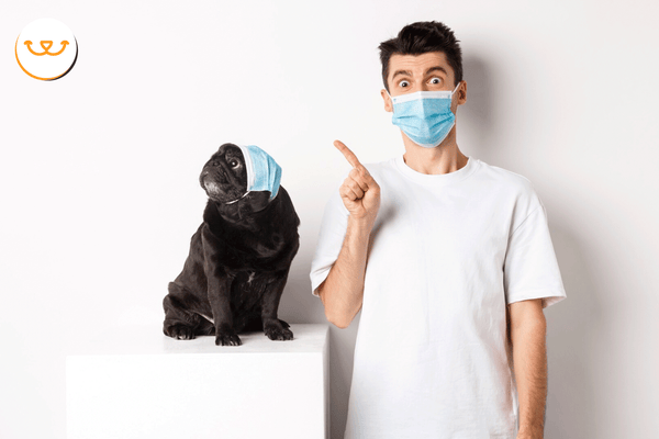 ¿Cómo funciona el sistema inmunológico en los perros?