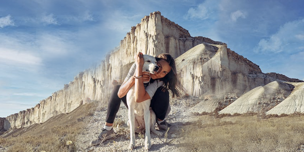 Cómo-hacer-ejercicio-con-mi-perro happypalmx