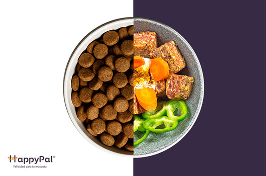 7 razones para cambiar a dieta BARF