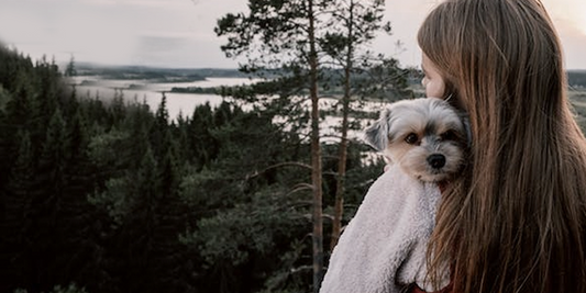 Enfermedades-de-invierno happypalmx