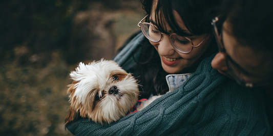 Por-qué-es-bueno-un-perro-en-la-familia happypalmx