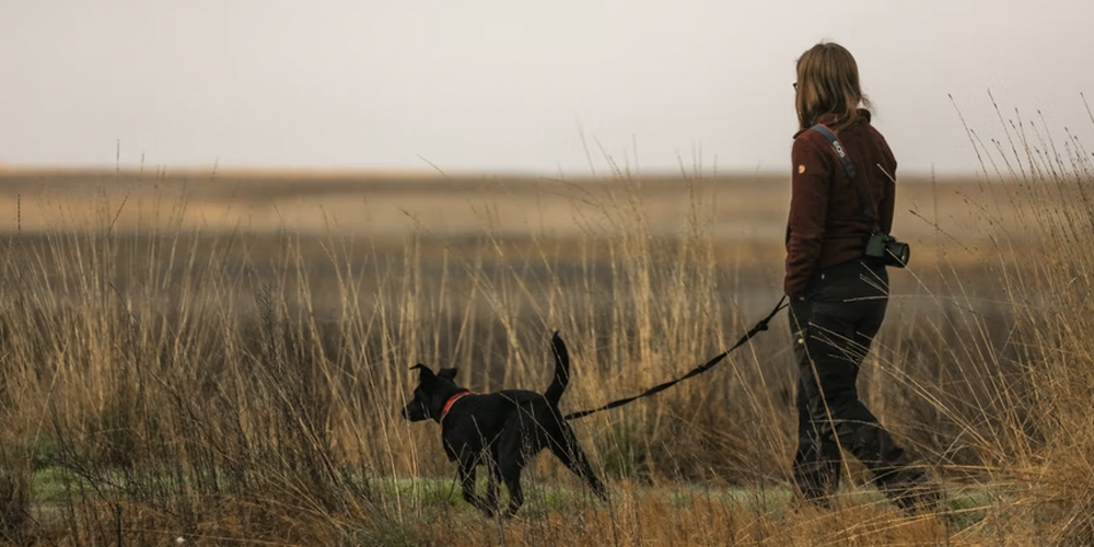 Cuántas-veces-se-debe-pasear-a-un-perro happypalmx