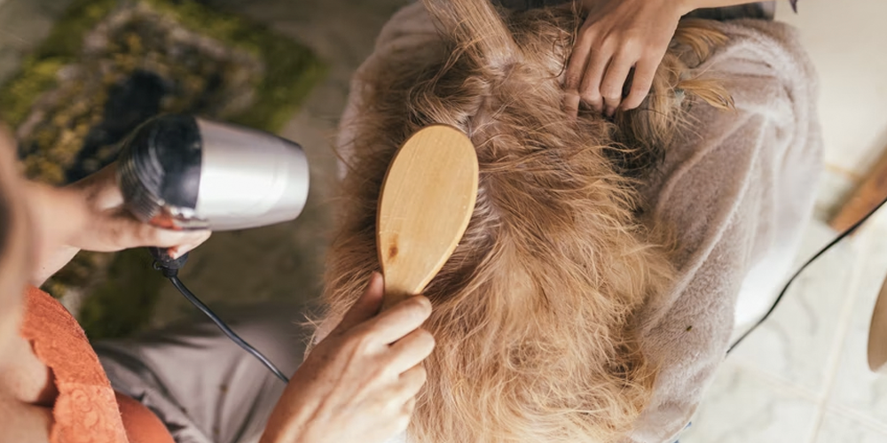 Parásitos-externos-que-puede-tener-tu-perro happypalmx