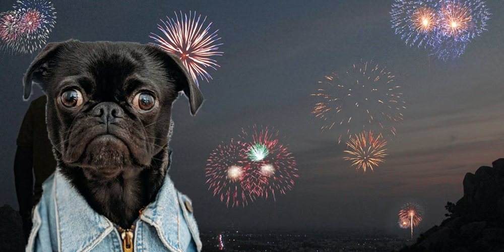 Pirotecnia-y-los-perros happypalmx