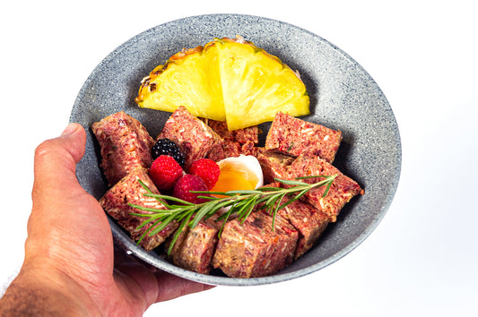 Cómo-hacer-la-transición-de-croquetas-a-Dieta-BARF happypalmx