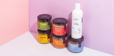 Suplementos-y-vitaminas-para-perros happypalmx