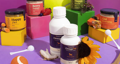 Best-Sellers-de-Happy-Pal happypalmx