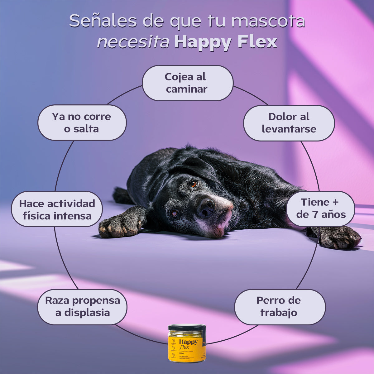 Happy Flex I  Anti Inflamatorio Para Perros y Gatos. Suplemento para articulaciones, huesos y cadera