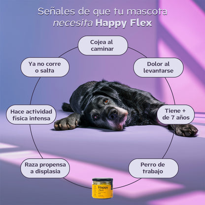 Happy Pal I Happy Flex I Suplemento Para Articulaciones de Perros y Gatos