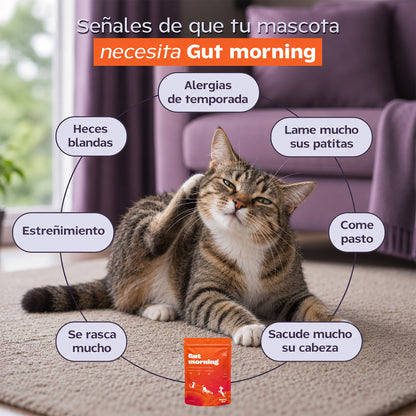 Gut Morning I Probióticos para perros. Suplemento para Salud Digestiva y Salud Intestinal