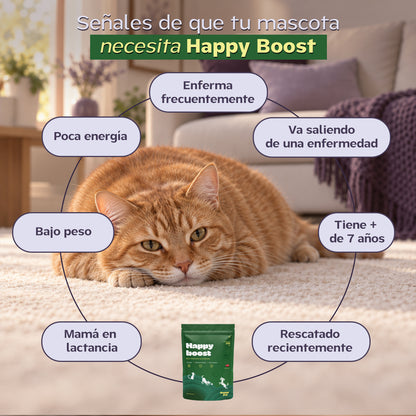 Happy Boost I  Vitaminas para perro y gato con Algas y Miel de Abeja.