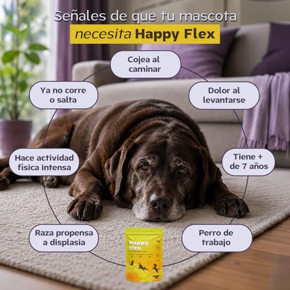 Happy Pal I Happy Flex I Suplemento Para Articulaciones de Perros y Gatos