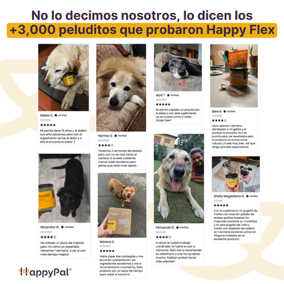Happy Flex I  Anti Inflamatorio Para Perros y Gatos. Suplemento para articulaciones, huesos y cadera