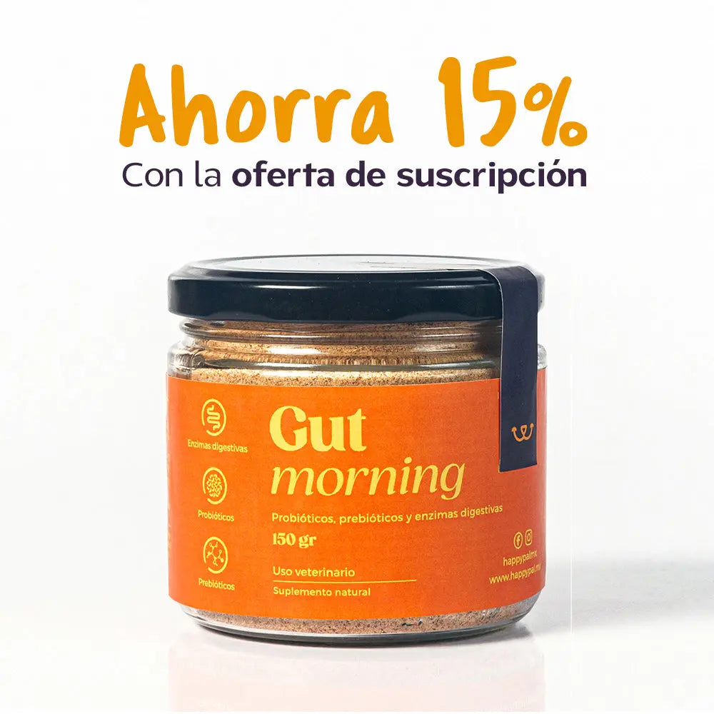 Gut Morning I Probióticos para Perro y Gato. Mejora la Digestión Happy Pal