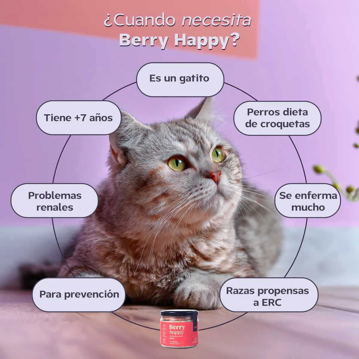 Arma tu kit doble de suplementos con descuento. Happy Pal Suplementos y vitaminas