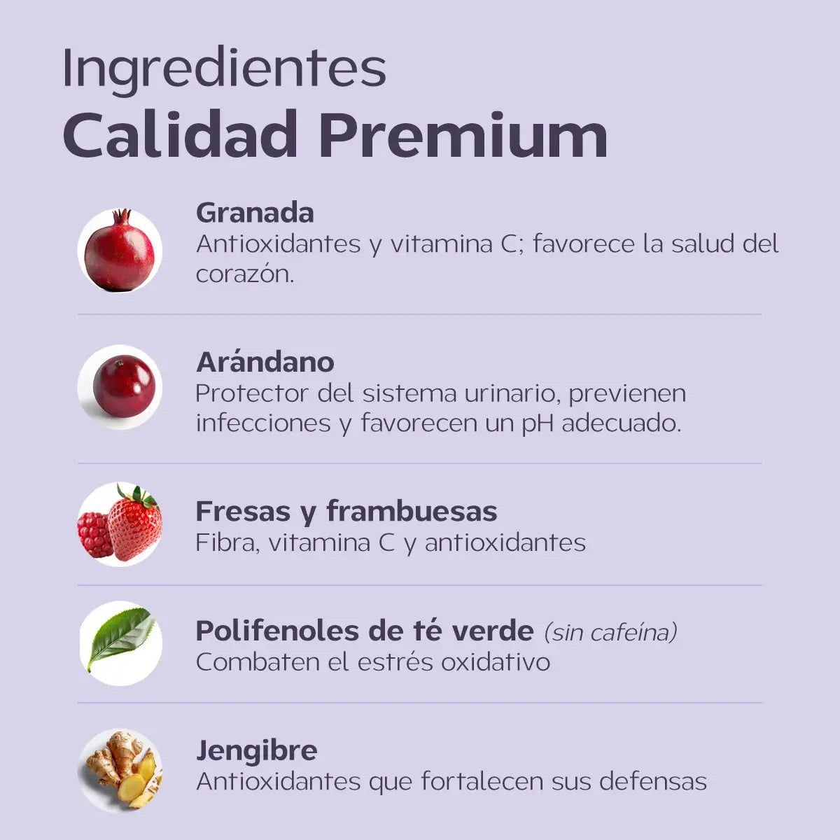 Berry Happy I Antioxidantes y vitaminas para perro y gato Happy Pal Suplementos y vitaminas