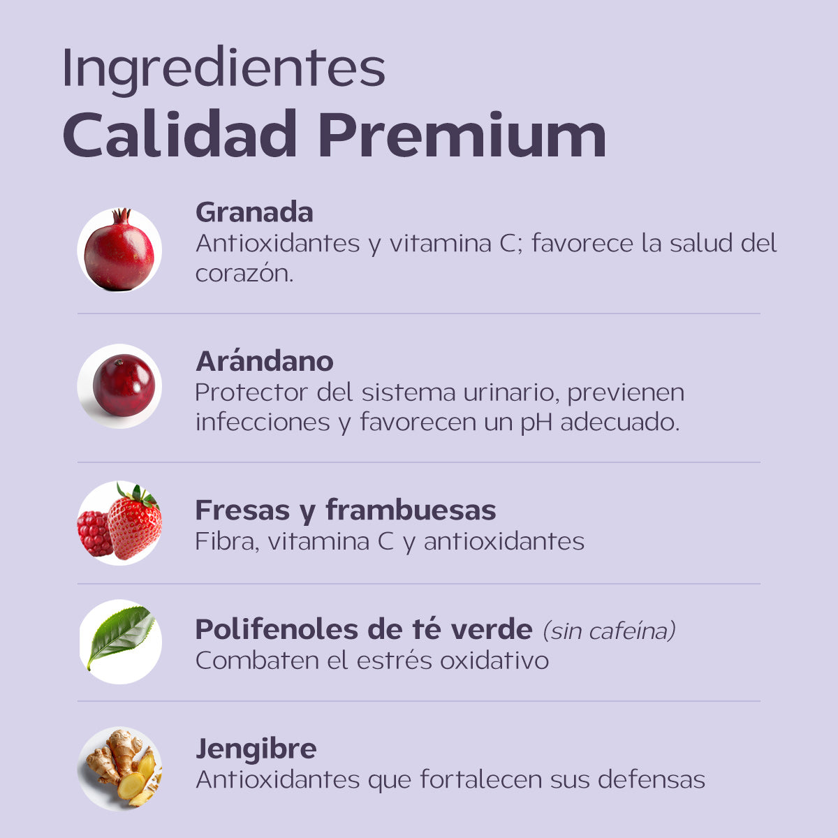 Berry Happy I Antioxidantes y vitaminas para perro y gato