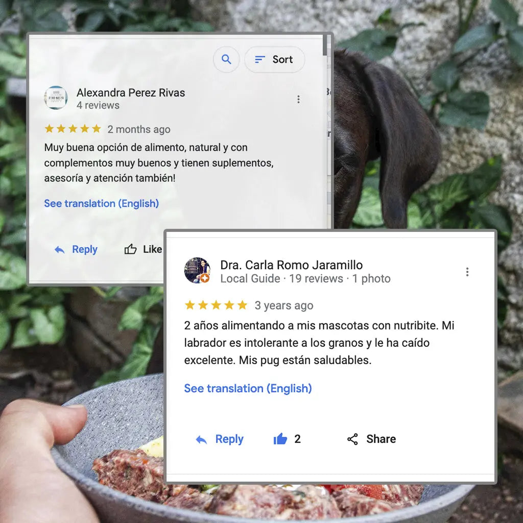 Kit Perro Aventurero I Para tu Lomito Aventurero Happy Pal Suplementos y vitaminas