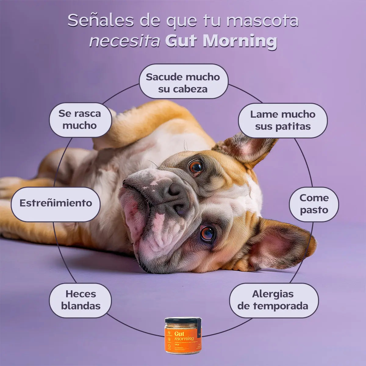 Arma tu kit doble de suplementos con descuento. Happy Pal Suplementos y vitaminas