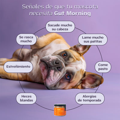 Probióticos para perros – suplemento para intestino y salud digestiva. Polvo