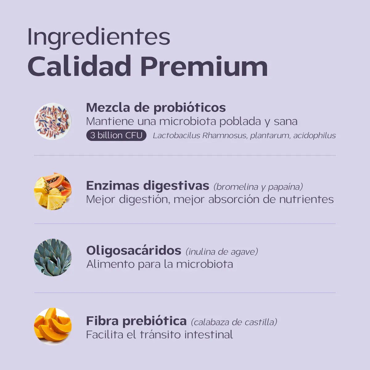 Probióticos para perros – suplemento para intestino y salud digestiva. Polvo Happy Pal Suplementos y vitaminas