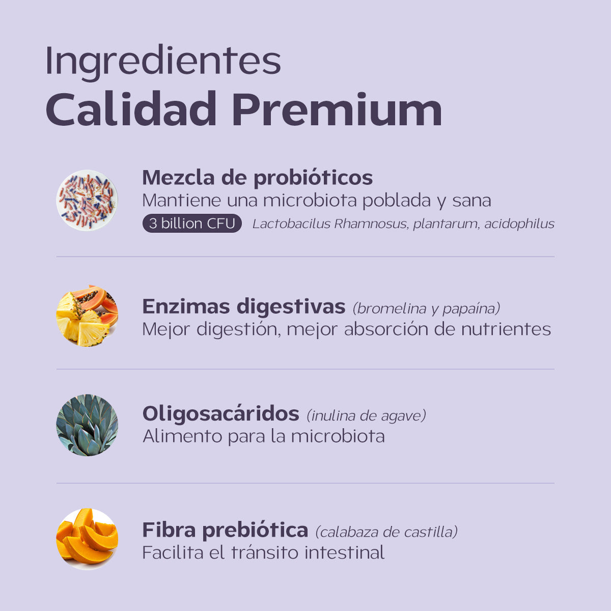 Probióticos para perros – suplemento para intestino y salud digestiva. Polvo