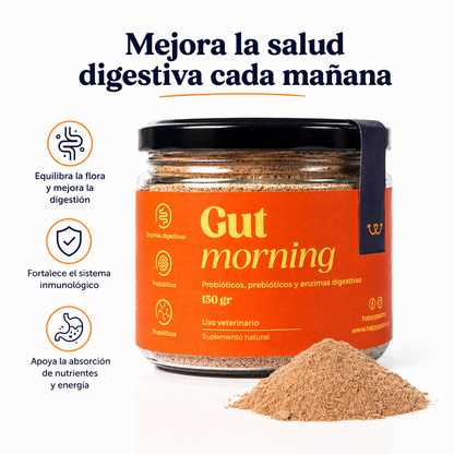 Kit Gut Morning + Happy Flex - Con Envío Gratis