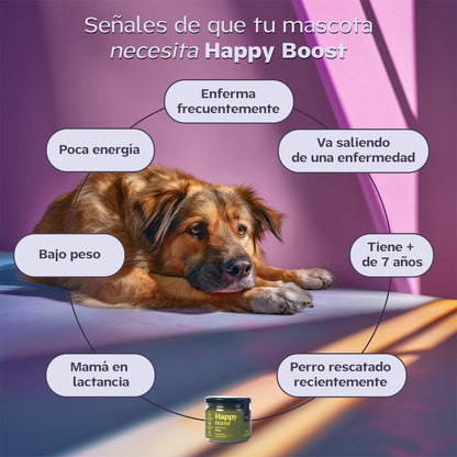 Happy Boost I  Multivitamínico con Algas y Miel de Abeja.