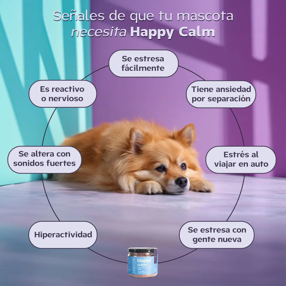 Arma tu kit doble de suplementos con descuento. Happy Pal Suplementos y vitaminas