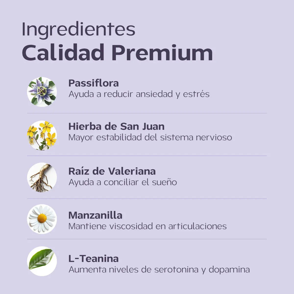 Happy Calm I Relajante natural para Perros y Gatos Happy Pal Suplementos y vitaminas