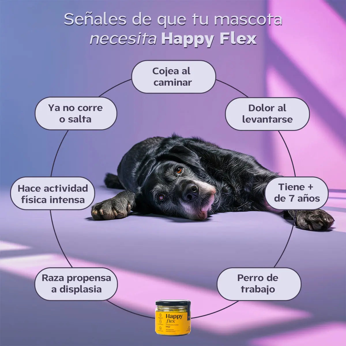 Arma tu kit doble de suplementos con descuento. Happy Pal Suplementos y vitaminas