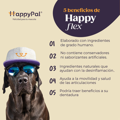 Happy Flex I Suplemento para Articulaciones, Cadera y Movilidad | Anti Inflamatorio Natural Para Perros y Gatos