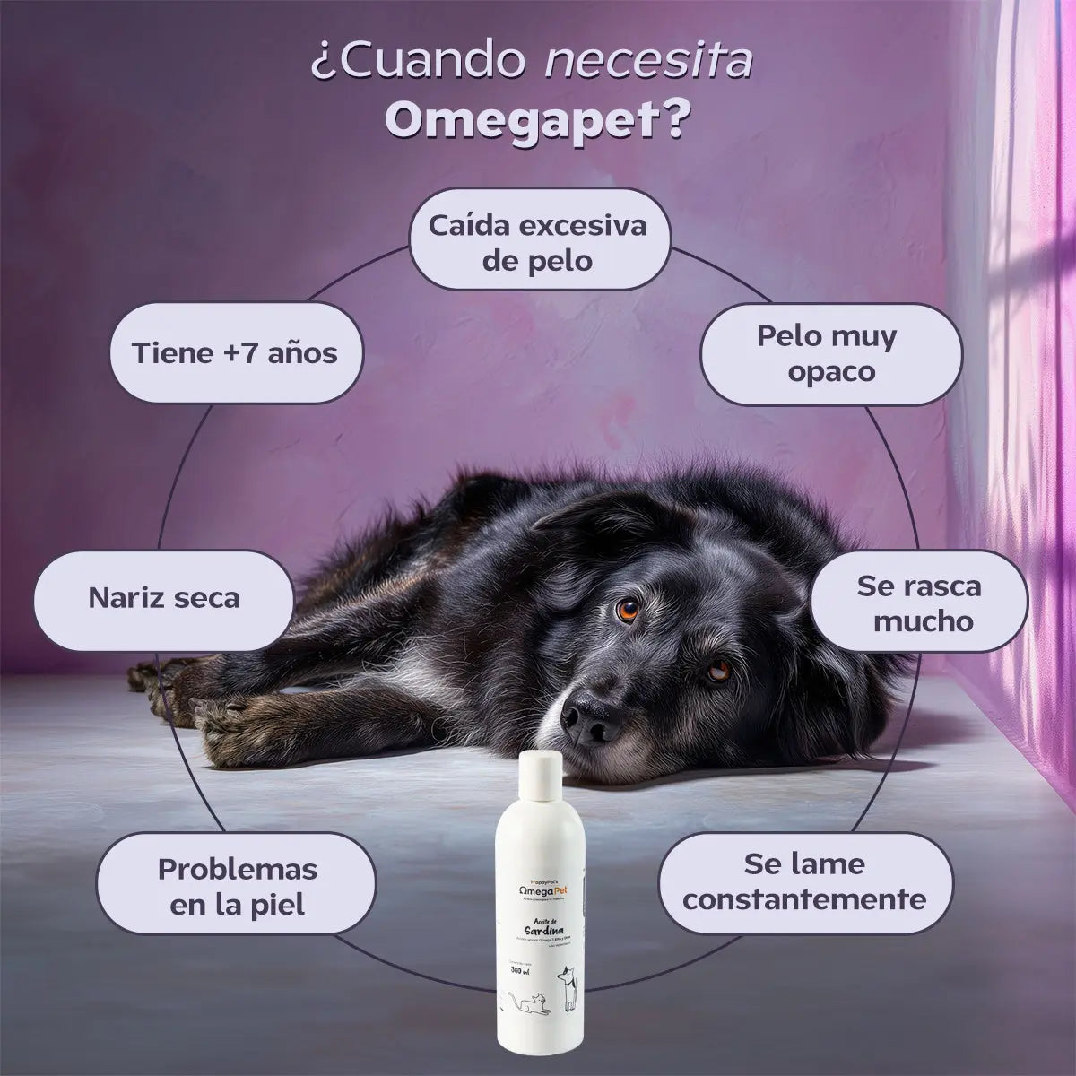 Arma tu kit doble de suplementos con descuento. Happy Pal Suplementos y vitaminas
