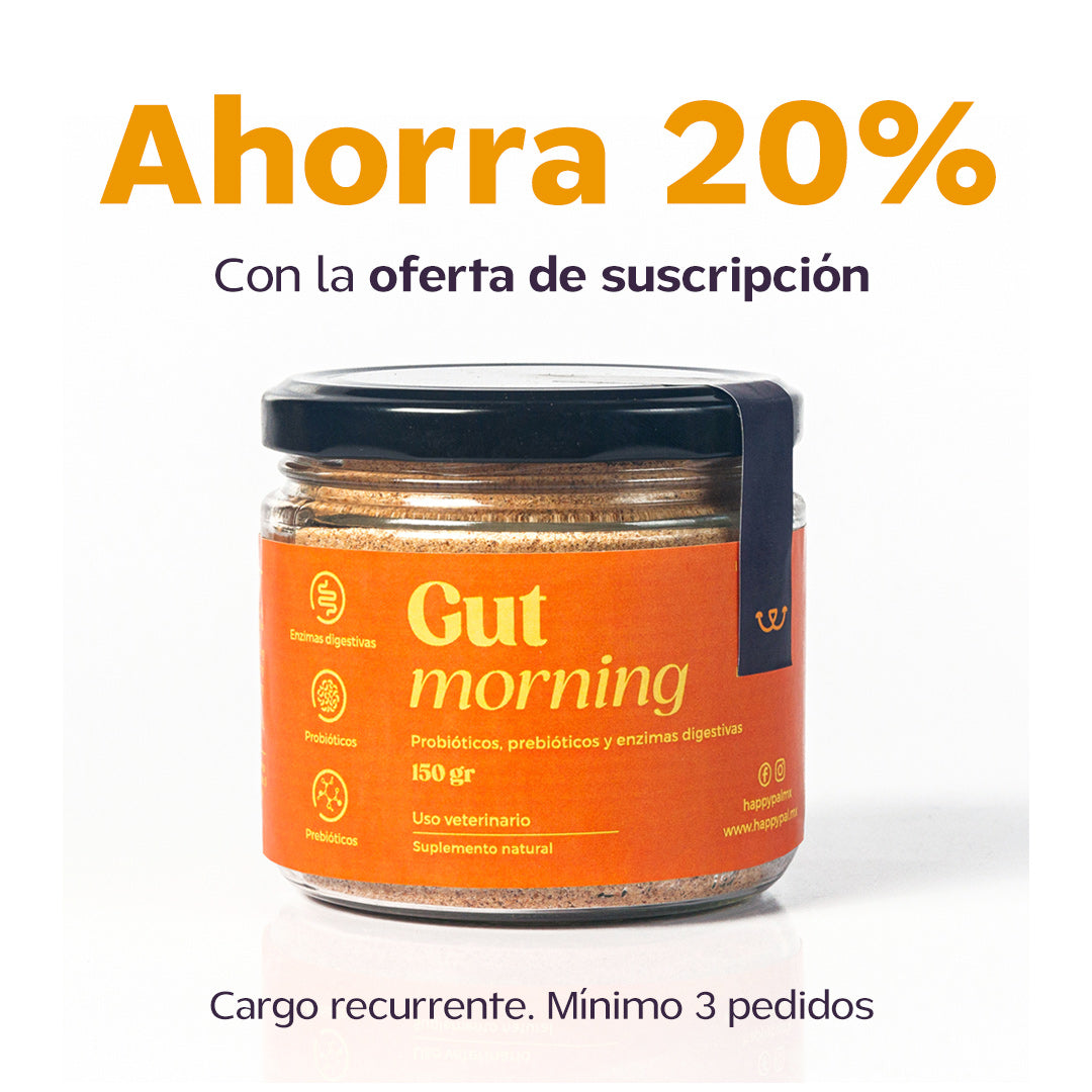 Gut Morning I Probióticos para Perro y Gato. Mejora la Digestión