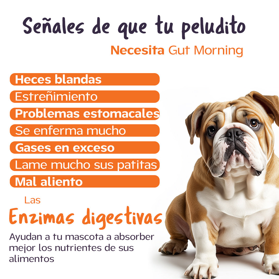 Kit de transición a comida BARF. 2 Bolsas + probióticos