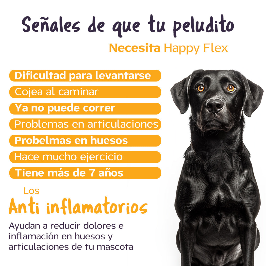 Happy Flex I  Anti Inflamatorio Para Perros y Gatos. Articulaciones, huesos y cadera