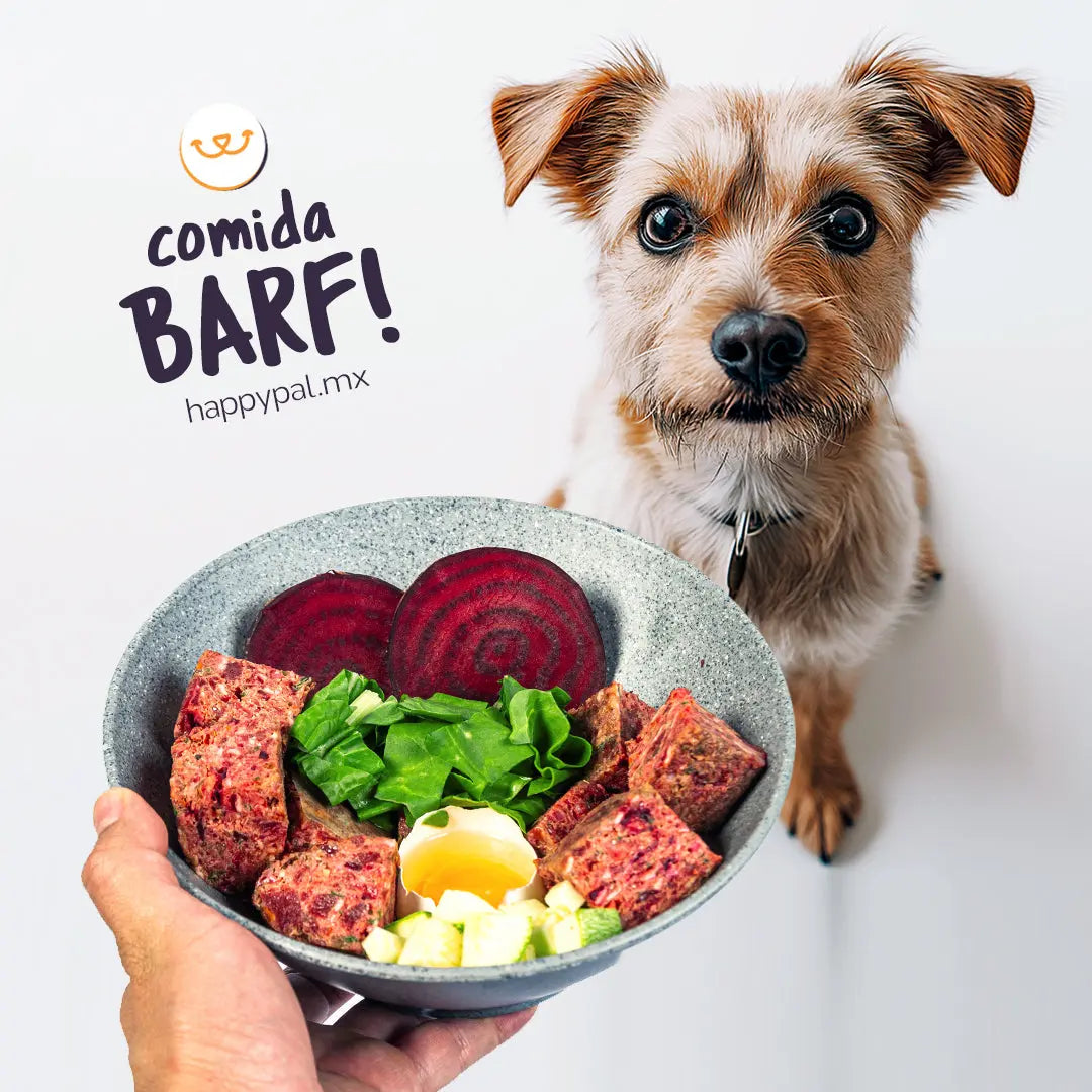 Paquete 30 bolsas Nutribite (54 kg) con descuento Happy Pal Non-prescription Dog Food