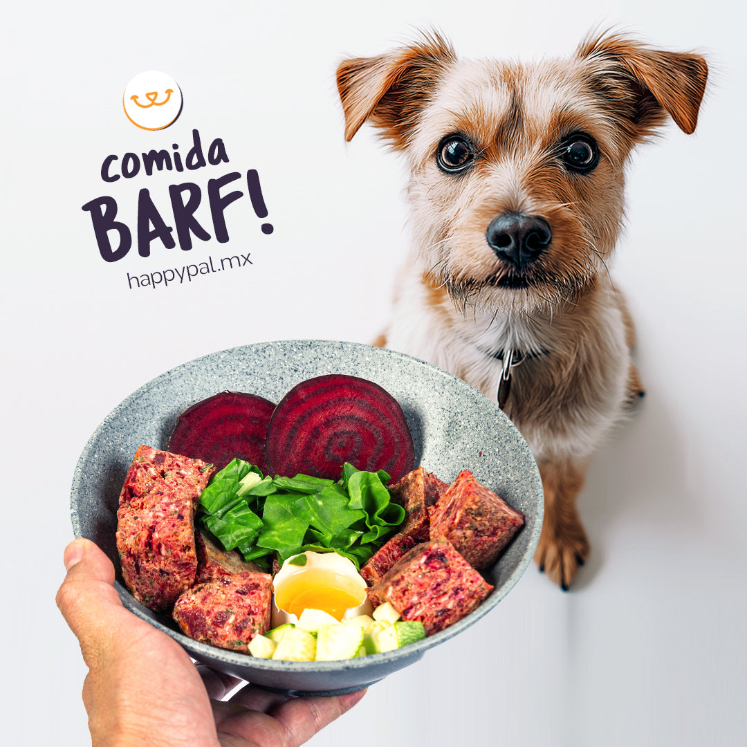 EL BUEN FIN 2024: Nutribite I 8 paq (14.4 kilos). Dieta BARF con entrega a Domicilio Gdl Happy Pal