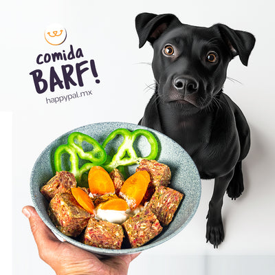 Nutribite I Dieta BARF a Domicilio. Alimento Natural Para Perro Happy Pal