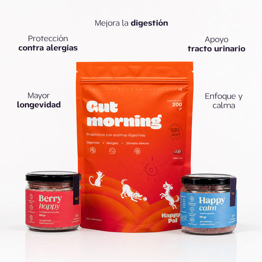 Harmony Kit | Calma, digestión y riñones sanos