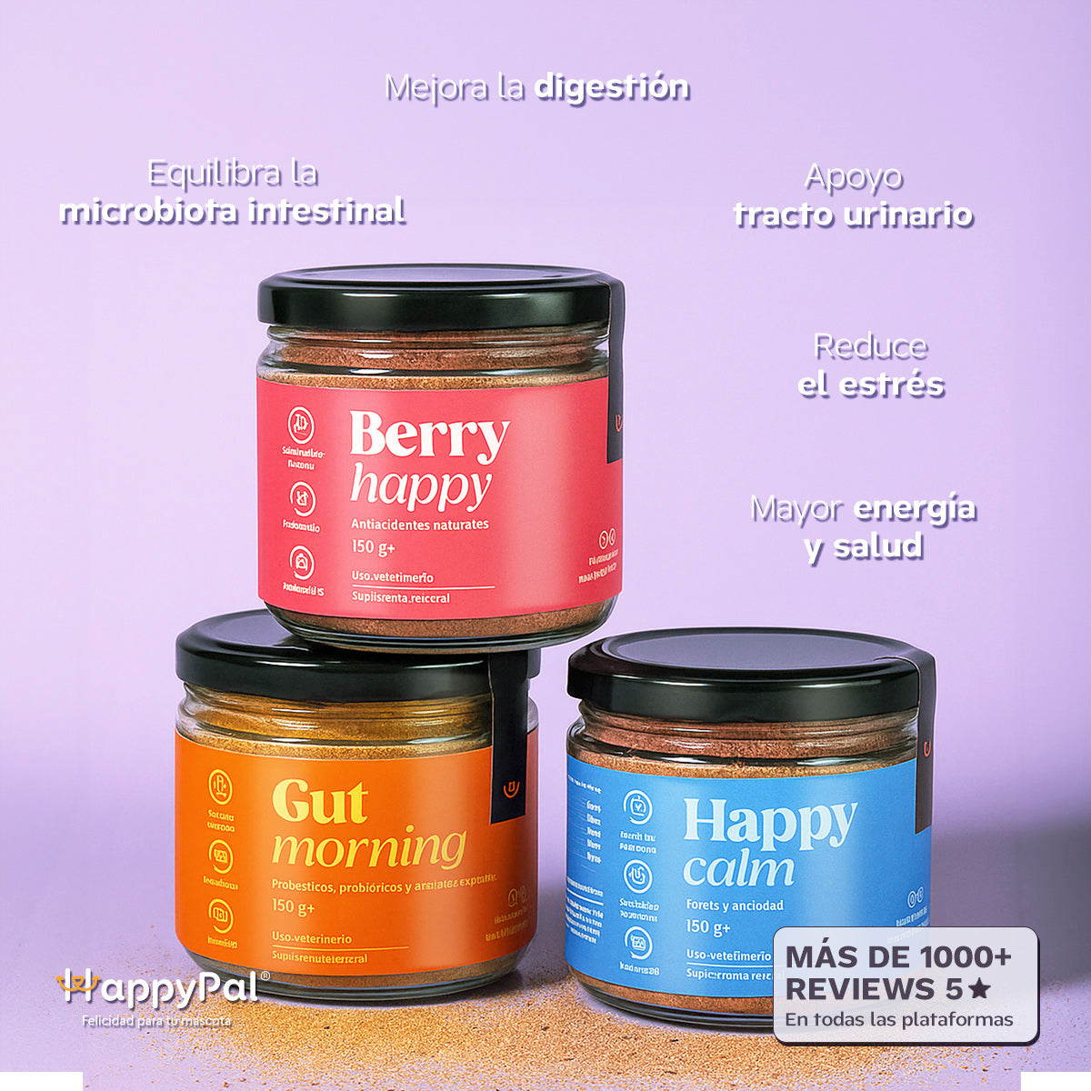 Harmony Kit | Movilidad, calma y digestión