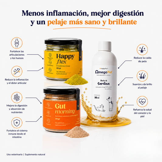 Kit Gut Morning + Happy Flex - Con Envío Gratis